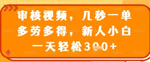 审核视频，几秒一单，多劳多得，新人小白一天轻松3张【揭秘】-柚子网创