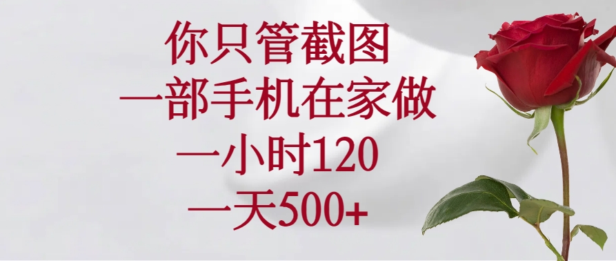 （14248期）你只管截图，一部手机在家做，一小时120，一天500+-柚子网创