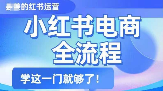 小红书电商全流程，精简易懂，从入门到精通，学这一门就够了-柚子网创