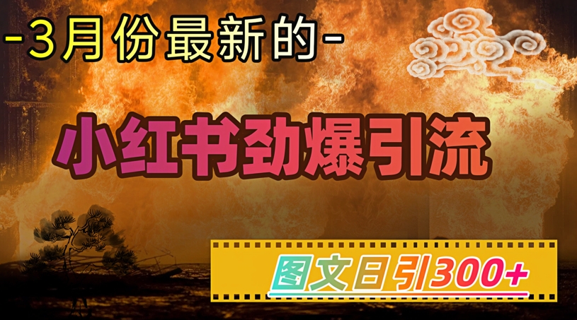 小红书超劲爆引流手段，图文日引300+轻松变现1W-柚子网创