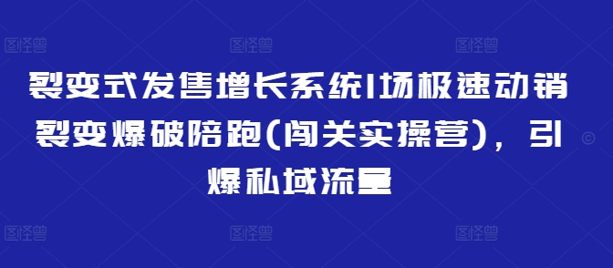 裂变式发售增长系统1场极速动销裂变爆破陪跑(闯关实操营)，引爆私域流量-柚子网创