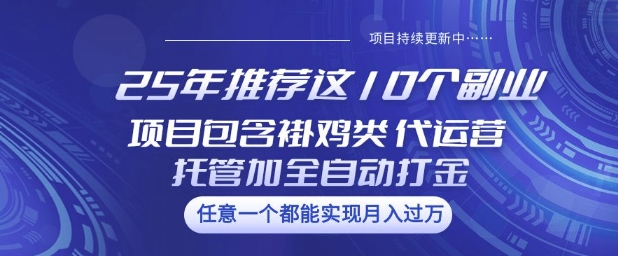 25年推荐这10个副业项目包含褂鸡类、代运营托管类、全自动打金类【揭秘】-柚子网创