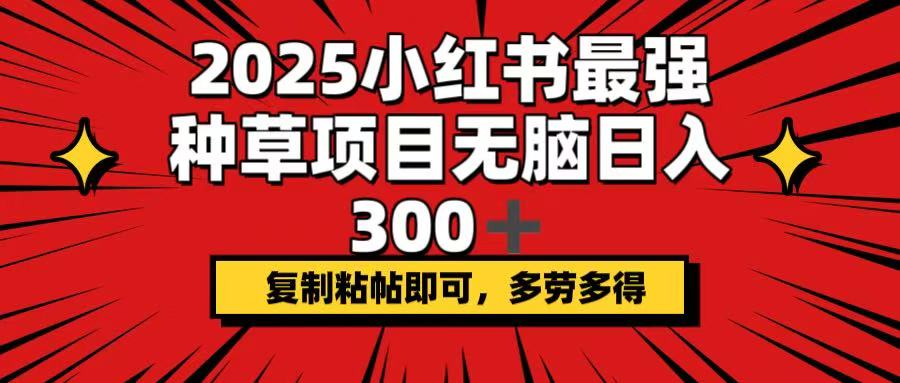 （14375期）2025小红书最强种草项目，无脑日入300+，复制粘帖即可，多劳多得-柚子网创