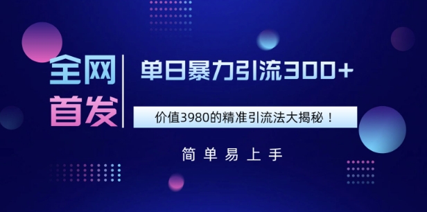 全网首发，价值3980单日暴力引流300+的精准引流法大揭秘-柚子网创