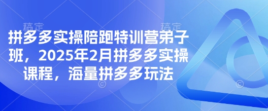 拼多多实操陪跑特训营弟子班，2025年2月拼多多实操课程，海量拼多多玩法-柚子网创