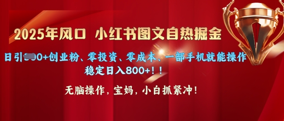 25年风口小红书图文掘金，日引300+创业粉、零投资、零成本、一部手机就能操作-柚子网创