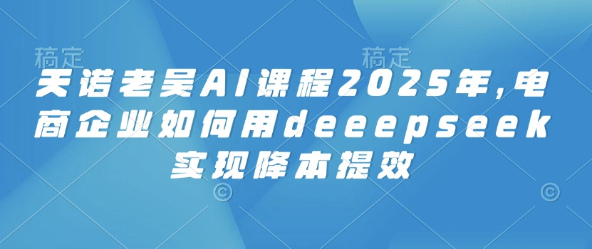 天诺老吴AI课程2025年，电商企业如何用deeepseek实现降本提效-柚子网创