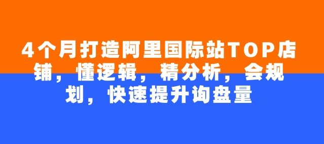 4个月打造阿里国际站TOP店铺，懂逻辑，精分析，会规划，快速提升询盘量-柚子网创