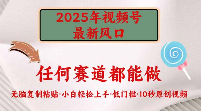 （14453期）2025年视频号新风口，低门槛只需要无脑执行-柚子网创