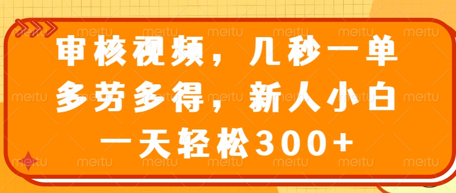 （14294期）审核视频，几秒一单，多劳多得，新人小白一天轻松300+-柚子网创