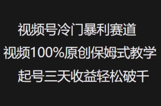 视频号冷门暴利赛道视频100%原创保姆式教学起号三天收益轻松破千-柚子网创