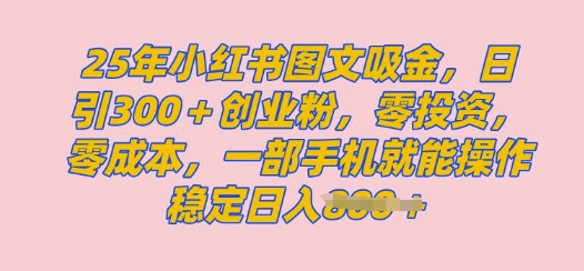 2025年小红书创业粉图文自热教程，日+300创业粉，单日变现多张，无脑操作，宝妈，小白抓紧冲-柚子网创