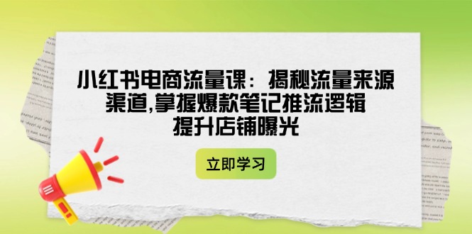 （14318期）小红书电商流量课：揭秘流量来源渠道,掌握爆款笔记推流逻辑,提升店铺曝光-柚子网创