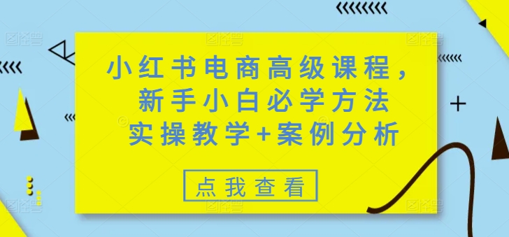 小红书电商高级课程，新手小白必学方法，实操教学+案例分析-柚子网创