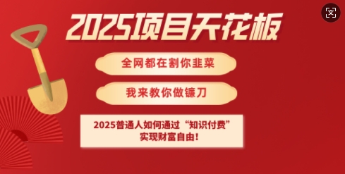 2025项目天花板普通人如何通过知识付费，实现财F自由【揭秘】-柚子网创