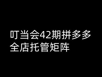 叮当会拼多多打爆班原创高阶技术第42期，拼多多全店托管矩阵-柚子网创